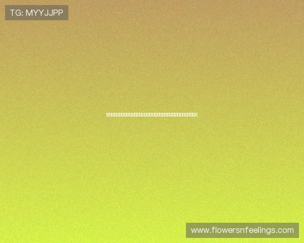 科特迪瓦对阵厄瓜多尔比赛数据统计与解读助力球迷全面了解比赛走势与关键时刻 科特迪瓦对阵厄瓜多尔比赛数据统计与解读助力球迷全面了解比赛走势与关键时刻